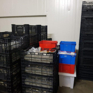 Assorted Plastic Bins 2